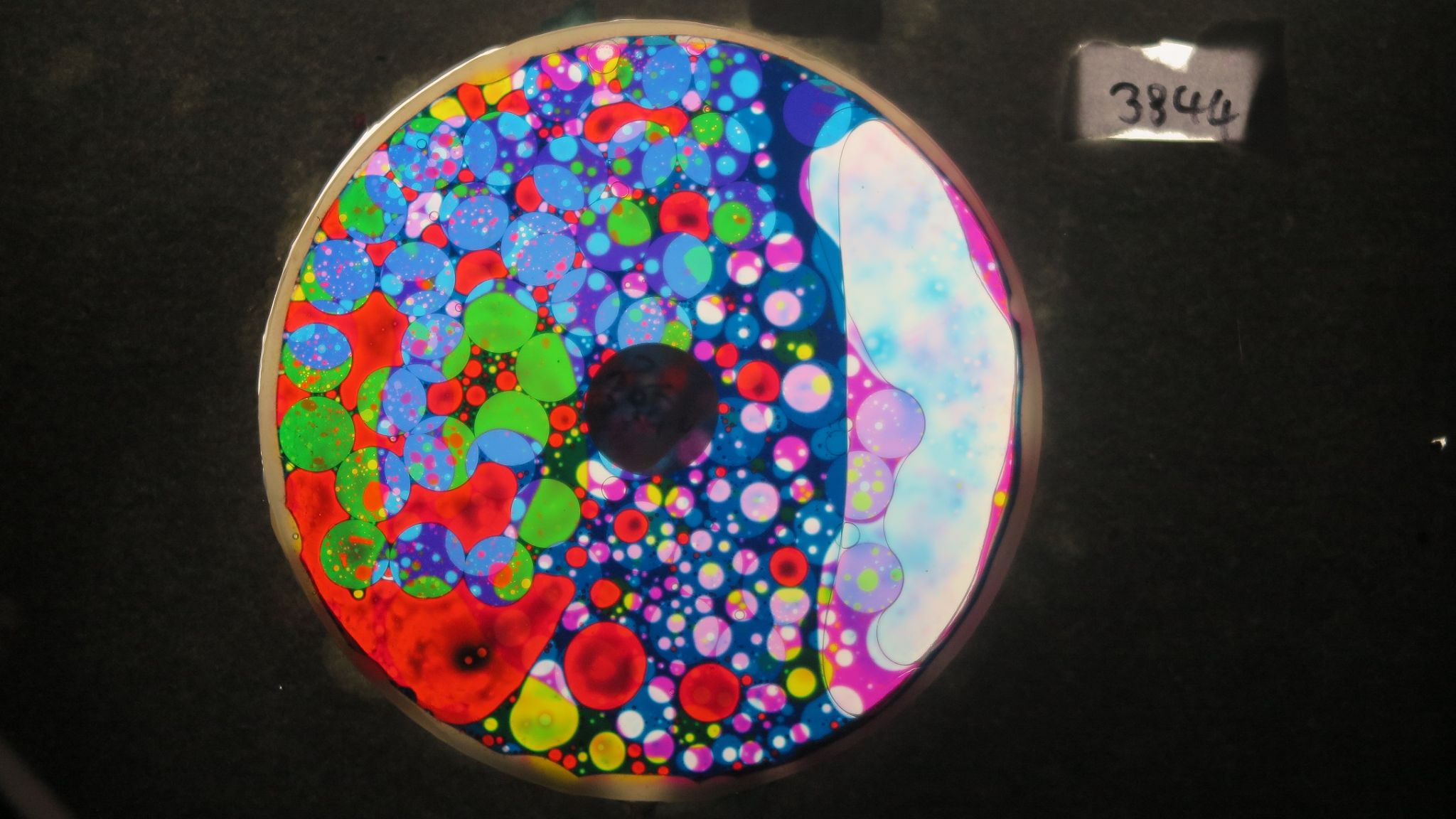 BV3844 bubble vision oil wheel